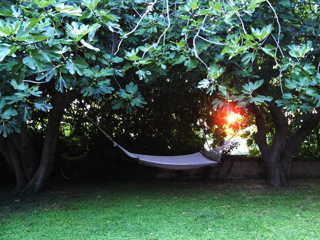 Agriturismo Locanda Pantanello Pitigliano Bagian luar foto